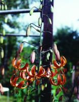 Foto: Gerhard Steinbrück